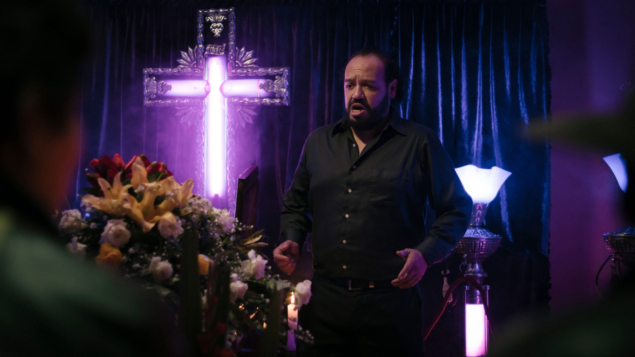 EL VISITANTE
